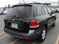 2006 Dark Emerald Green Hyundai Santa Fe GLS  photo #2