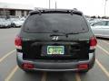 2006 Dark Emerald Green Hyundai Santa Fe GLS  photo #8