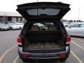 2006 Dark Emerald Green Hyundai Santa Fe GLS  photo #9