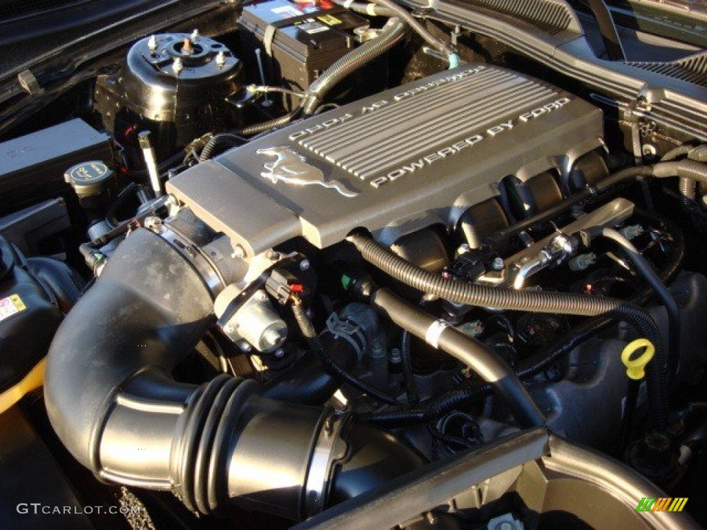 2007 Mustang GT/CS California Special Coupe - Black / Black/Dove Accent photo #23