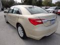 White Gold - 200 Touring Photo No. 3