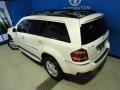 2009 Arctic White Mercedes-Benz GL 450 4Matic  photo #29