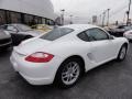 Carrara White - Cayman  Photo No. 7