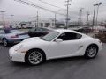 Carrara White - Cayman  Photo No. 10