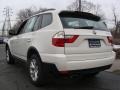 2010 Alpine White BMW X3 xDrive30i  photo #6