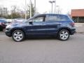 Royal Blue Pearl - RDX SH-AWD Photo No. 4