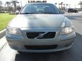 Willow Green Metallic - S60 2.5T Photo No. 3