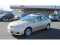 Sandy Beach Metallic - Camry  Photo No. 1