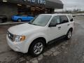 2012 White Suede Ford Escape XLT V6 4WD  photo #8