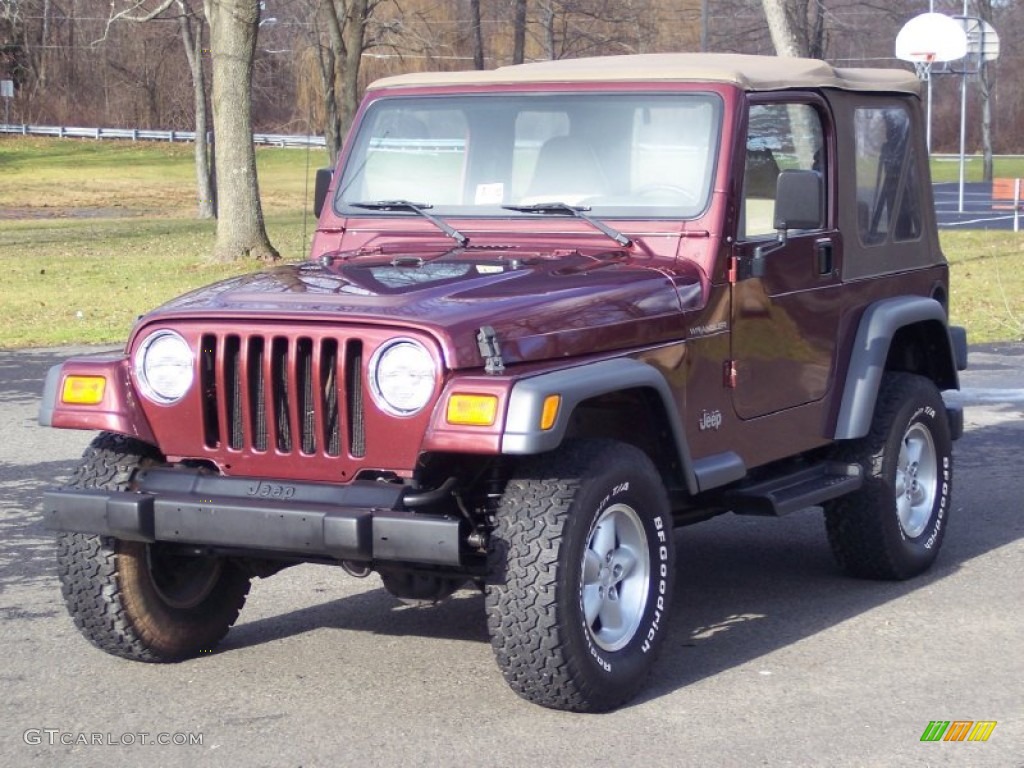 2001 Wrangler SE 4x4 - Sienna Pearl / Camel photo #8