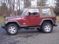 2001 Sienna Pearl Jeep Wrangler SE 4x4  photo #10