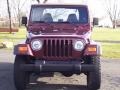 2001 Sienna Pearl Jeep Wrangler SE 4x4  photo #16