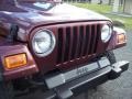 2001 Sienna Pearl Jeep Wrangler SE 4x4  photo #20