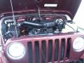 2001 Sienna Pearl Jeep Wrangler SE 4x4  photo #58