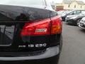 Obsidian Black - IS 250 AWD Photo No. 28