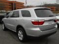 Bright Silver Metallic - Durango Express 4x4 Photo No. 13