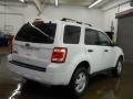 2010 White Suede Ford Escape XLT 4WD  photo #2