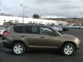Pyrite Mica - RAV4 4WD Photo No. 1