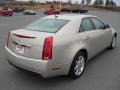 Gold Mist - CTS Sedan Photo No. 4