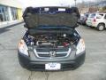 2004 Eternal Blue Pearl Honda CR-V LX 4WD  photo #9