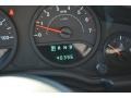 Steel Blue Metallic - Wrangler X 4x4 Photo No. 19