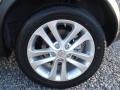 2012 Nissan Juke SV Wheel and Tire Photo