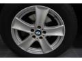 Titanium Silver Metallic - X5 4.8i Photo No. 10