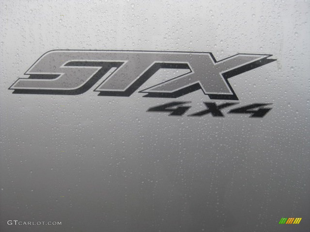 2006 F150 STX SuperCab 4x4 - Silver Metallic / Medium/Dark Flint photo #15