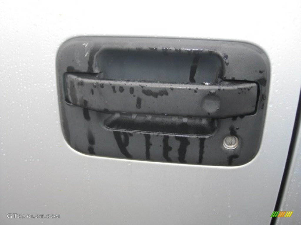2006 F150 STX SuperCab 4x4 - Silver Metallic / Medium/Dark Flint photo #19
