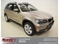 Platinum Bronze Metallic - X5 3.0si Photo No. 1