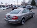 Pewter Metallic - CLK 350 Coupe Photo No. 2