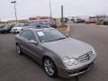 Pewter Metallic - CLK 350 Coupe Photo No. 7