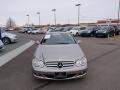 Pewter Metallic - CLK 350 Coupe Photo No. 8