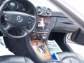 Pewter Metallic - CLK 350 Coupe Photo No. 17