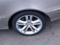 Pewter Metallic - CLK 350 Coupe Photo No. 36