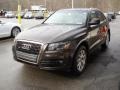 Teak Brown Metallic - Q5 2.0T quattro Photo No. 4