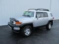 Titanium Metallic - FJ Cruiser 4WD Photo No. 1
