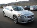 Radiant Silver Metallic - Maxima 3.5 SV Photo No. 4