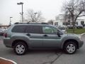 2008 Satin Meisai Pearl Mitsubishi Endeavor LS AWD  photo #6