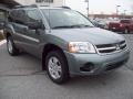 2008 Satin Meisai Pearl Mitsubishi Endeavor LS AWD  photo #7