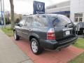 2006 Steel Blue Metallic Acura MDX Touring  photo #7