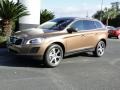 Terra Bronze Metallic - XC60 T6 AWD Photo No. 26