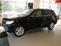 Black - ML 350 4Matic Photo No. 1