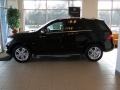 Black - ML 350 4Matic Photo No. 2
