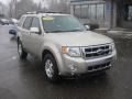 Gold Leaf Metallic 2010 Ford Escape Limited