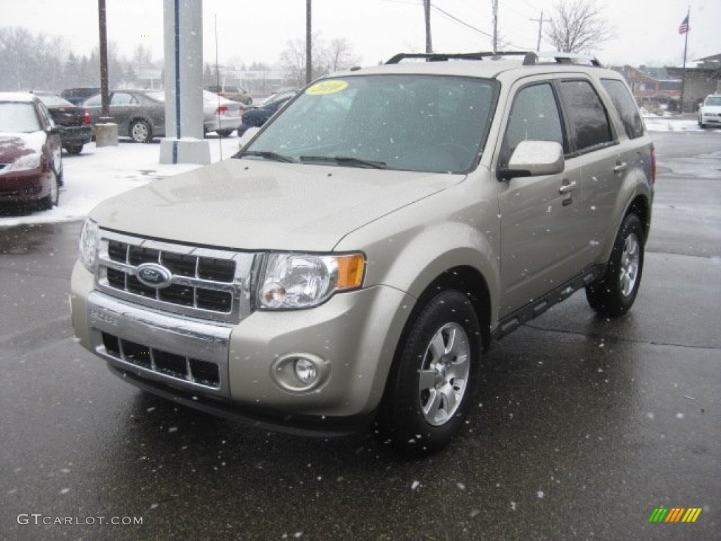 Gold Leaf Metallic 2010 Ford Escape Limited Exterior Photo #58886496