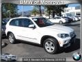 Alpine White - X5 xDrive48i Photo No. 1