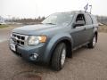 2010 Steel Blue Metallic Ford Escape XLT  photo #11