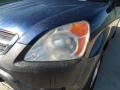 Eternal Blue Pearl - CR-V LX Photo No. 10