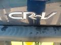 Eternal Blue Pearl - CR-V LX Photo No. 19